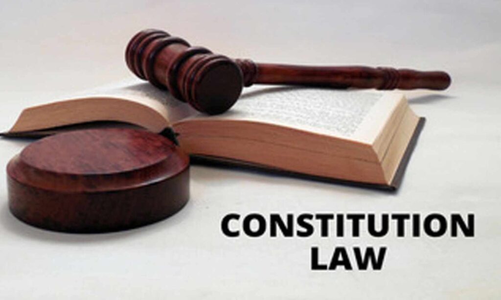 Understanding Constitutional Law: An Indian Perspective